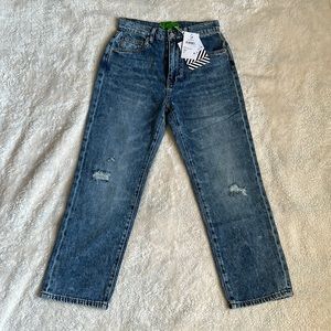 NWT Free People x SANDRINE ROSE Jeans